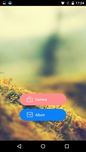 Camera Frame - Preview 10