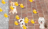 Puppy Puzzles for Toddlers screenshot 5