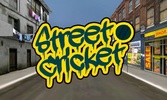 Street Cricket screenshot 5