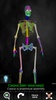 Bones Human 3D (anatomy) screenshot 2