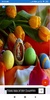Easter Bunny Wallpapers: HD images Free download screenshot 7