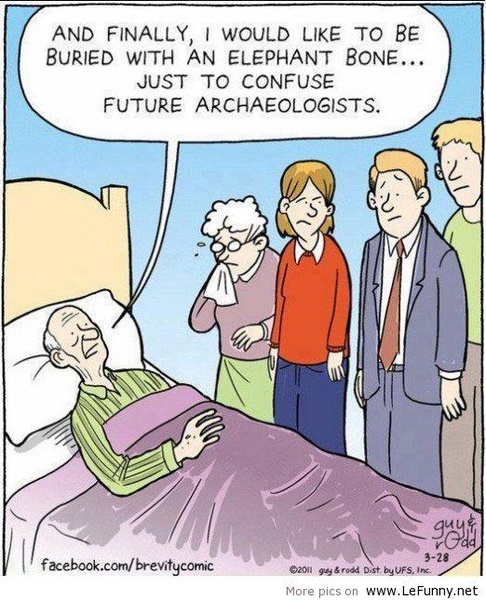Picture Jokes - Preview 2