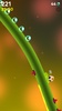 Snail Ride screenshot 13