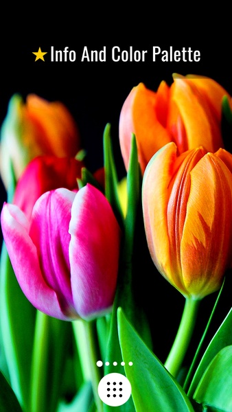 Flowers HD Wallpapers - Preview 2