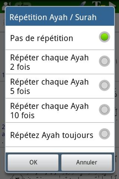 Al-Zikar Pro French - Preview 1