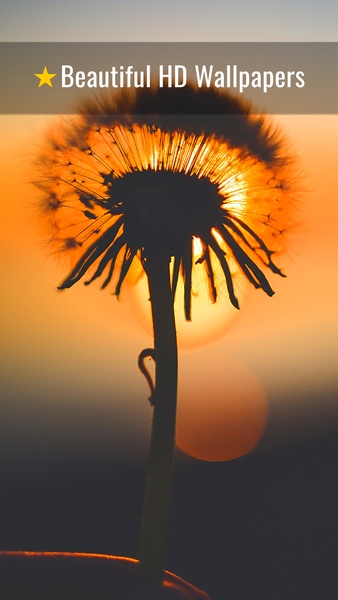 Beautiful HD Wallpapers - Preview 8