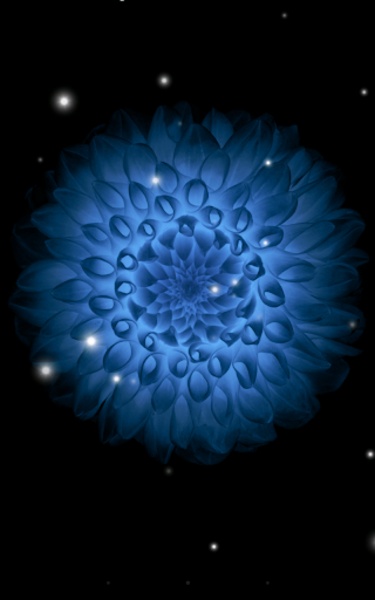 Galaxy Flower - Preview 5