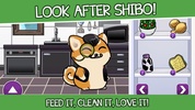 Shibo screenshot 14