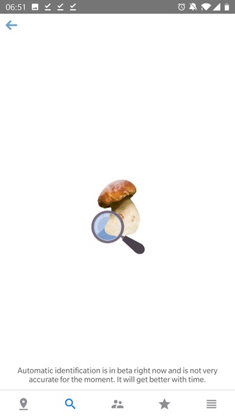 Mushroom Identificator - Preview 2