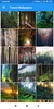 Forest Wallpapers: HD images, Free Pics download screenshot 4