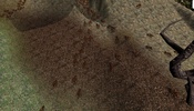 Ant Simulation screenshot 3