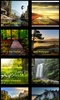 Nature HD Wallpapers screenshot 2