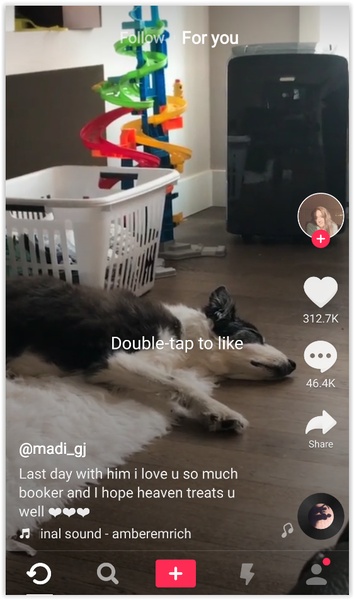 Musically Downloader - Preview 6