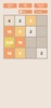 Bitcoin 2048 screenshot 2