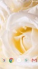 White Rose Live Wallpaper HD screenshot 3