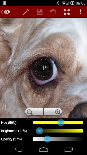Red Eye Removal (Free) - Preview 2