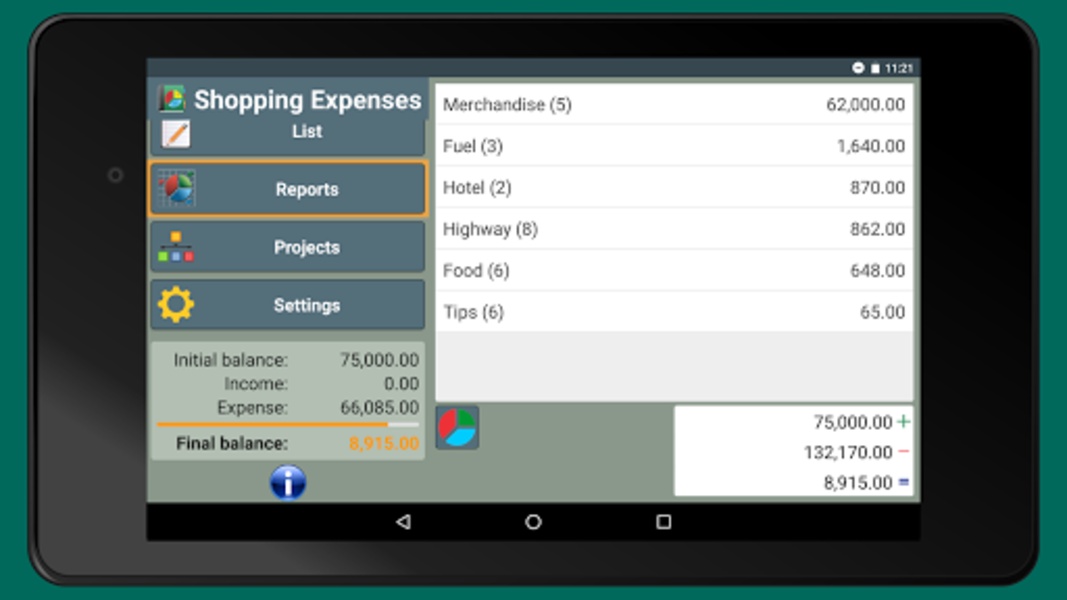 Shopping Expenses - Preview 10