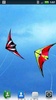 Soaring Kites Live Wallpaper screenshot 4