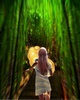 Temple Jungle Game screenshot 2