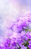 Gentle Flowers Live Wallpaper screenshot 8