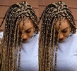 African Hairstyles screenshot 19