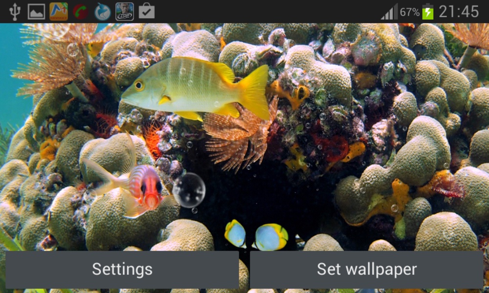 Coral Reef Live Wallpaper - Preview 5