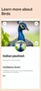 Bird Identification Apps screenshot 4