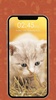 Kitty Cat Pin Lock Screen screenshot 1