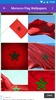 Morocco Flag Wallpaper: Flags and Country Images screenshot 7