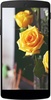 Yellow Roses Wallpapers screenshot 3