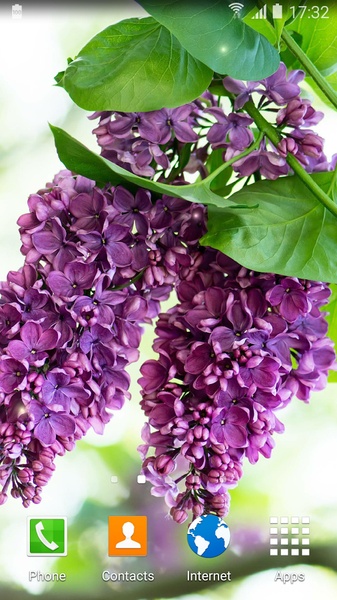 Lilac Live Wallpaper - Preview 9