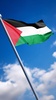 Palestine Wallpaper screenshot 6