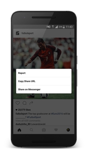 InstaSaver - Preview 5