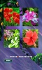 Spring Jigsaw Puzzles screenshot 2