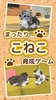 ねこ育成ゲーム - 子猫をのんびり育てる癒しの猫育成ゲーム screenshot 4