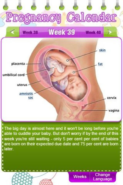 Pregnancy Calendar for Android - Download the APK from Uptodown