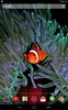 Tropical Fish Live Wallpaper screenshot 6