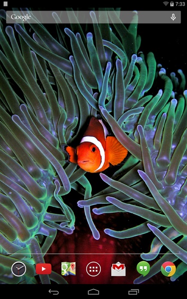 Tropical Fish Live Wallpaper - Preview 6
