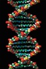 DNA screenshot 3