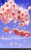Sakura Free screenshot 8
