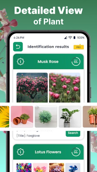 blend plant Stash Blend Premium Plant Additive: Unlock Plant Potential main image 0