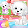 Fluffy Puppy Pet Spa And Care screenshot 7