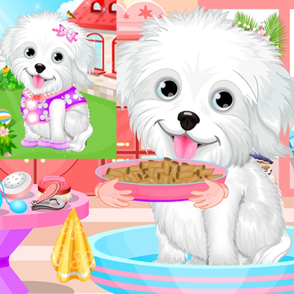 Fluffy Puppy Pet Spa And Care - Preview 7