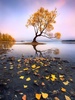 Landscape Puzzle Jigsaw screenshot 10