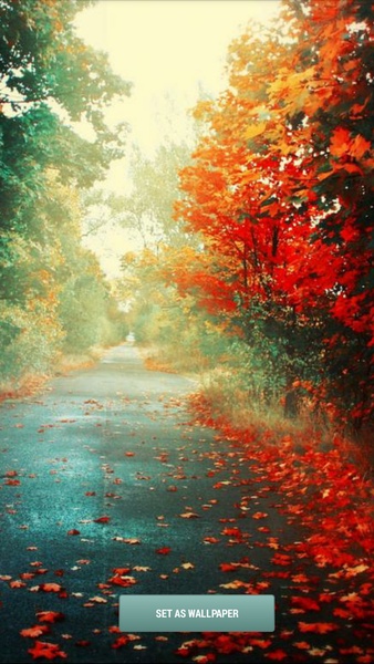 Monsoon HD Wallpapers - Preview 2