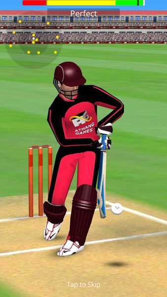 Smashing Cricket - Preview 9