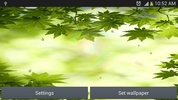 зеленый лист живые обои screenshot 3