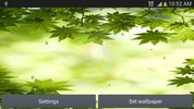 feuille verte live wallpaper screenshot 3