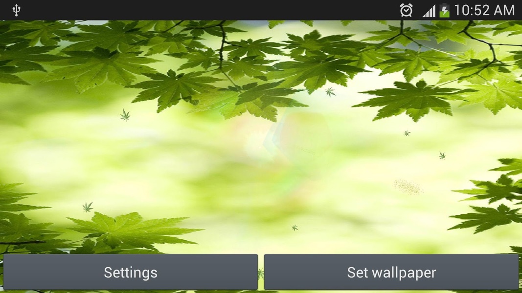 green leaf live wallpaper - Preview 3