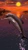 Dolphins live wallpaper screenshot 8